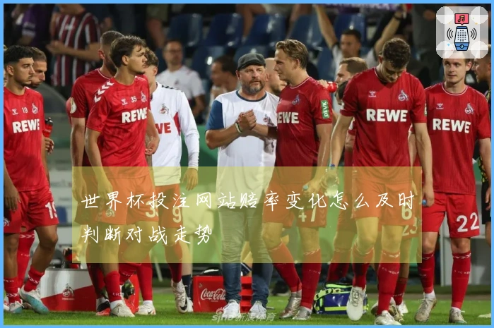 世界杯投注网站赔率变化怎么及时判断对战走势