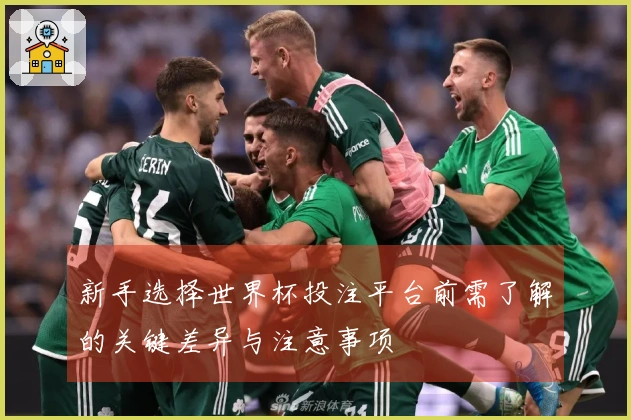 新手选择世界杯投注平台前需了解的关键差异与注意事项