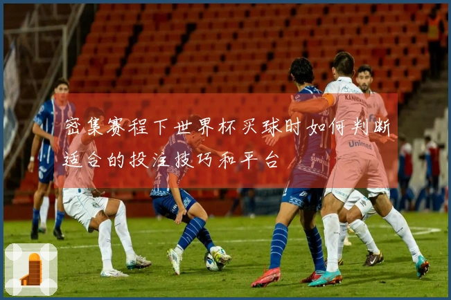 密集赛程下世界杯买球时如何判断适合的投注技巧和平台