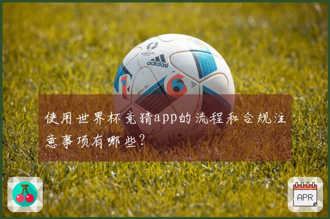 使用世界杯竞猜app的流程和合规注意事项有哪些？