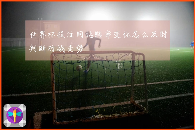 世界杯投注网站赔率变化怎么及时判断对战走势