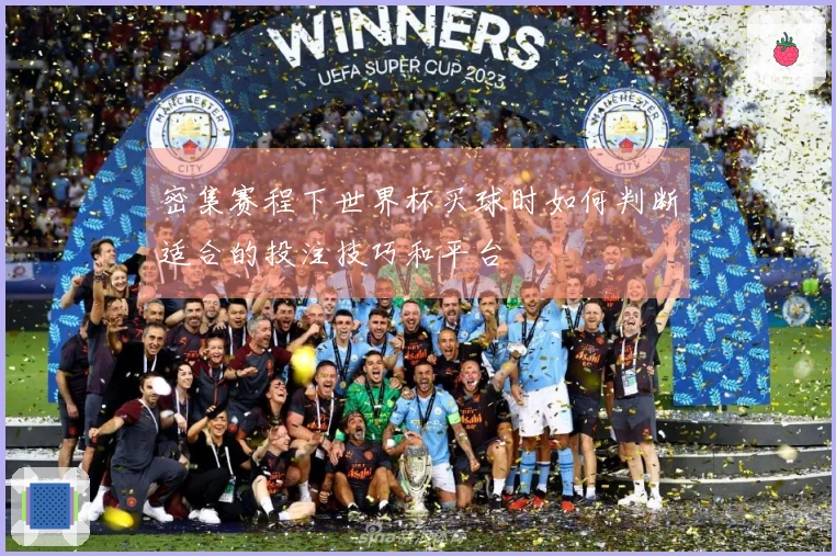 密集赛程下世界杯买球时如何判断适合的投注技巧和平台